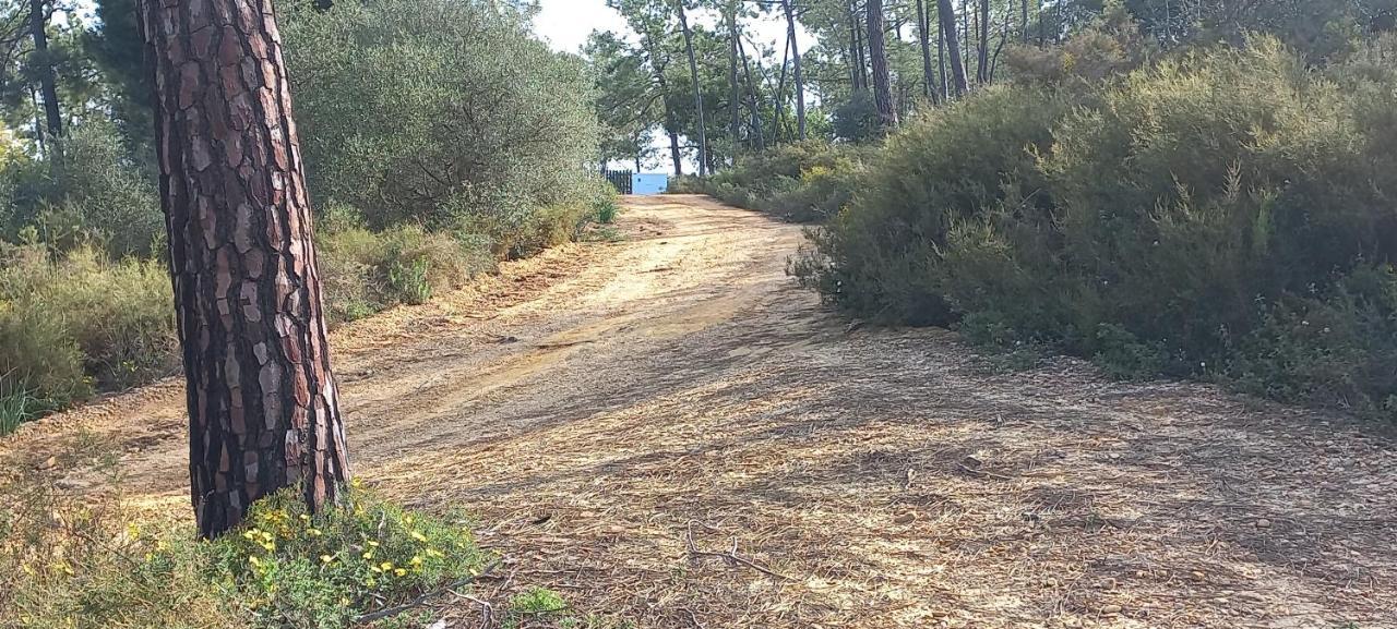 Casa Do Pinheiro - Parque Natural Da Ria Formosa. Тавира Екстериор снимка