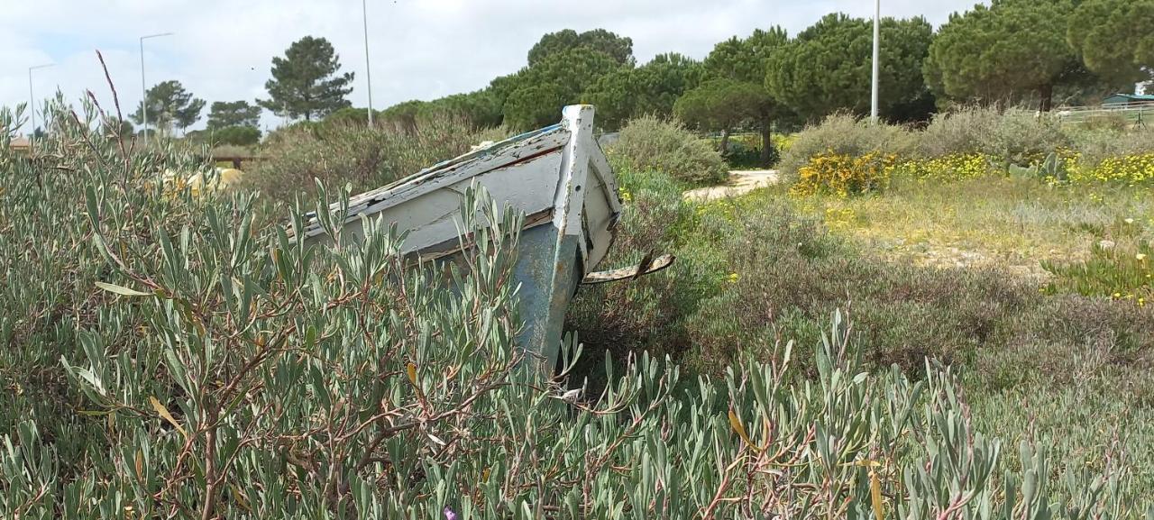 Casa Do Pinheiro - Parque Natural Da Ria Formosa. Тавира Екстериор снимка