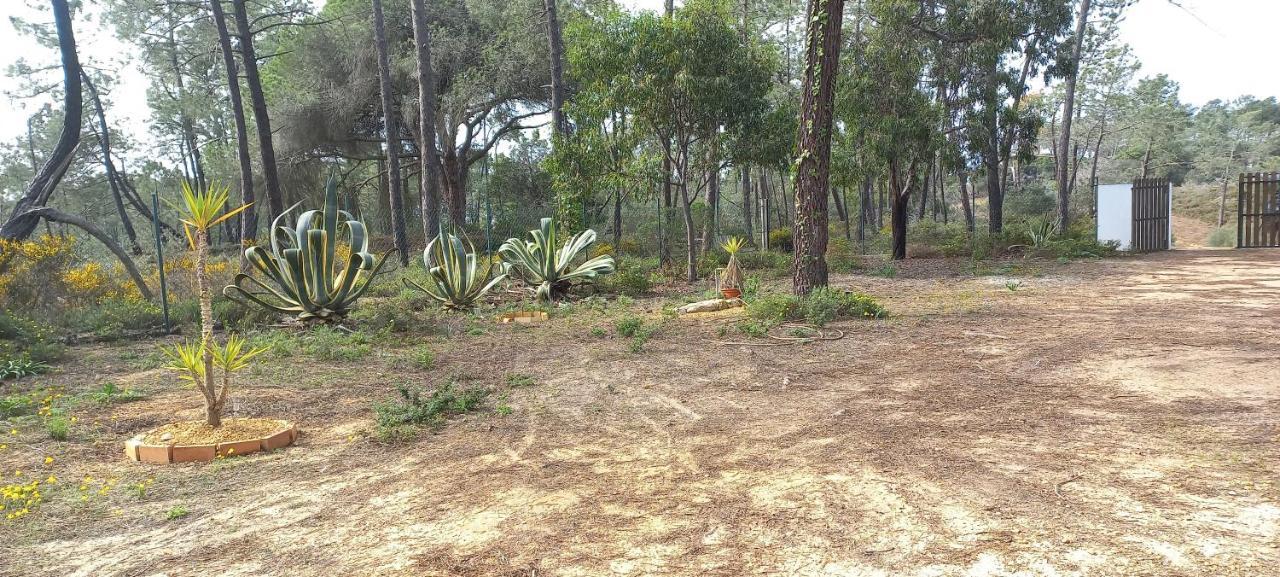 Casa Do Pinheiro - Parque Natural Da Ria Formosa. Тавира Екстериор снимка