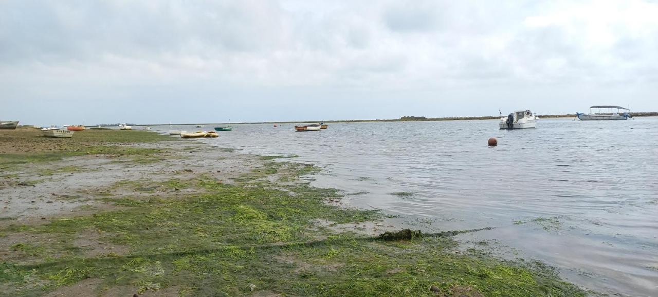 Casa Do Pinheiro - Parque Natural Da Ria Formosa. Тавира Екстериор снимка