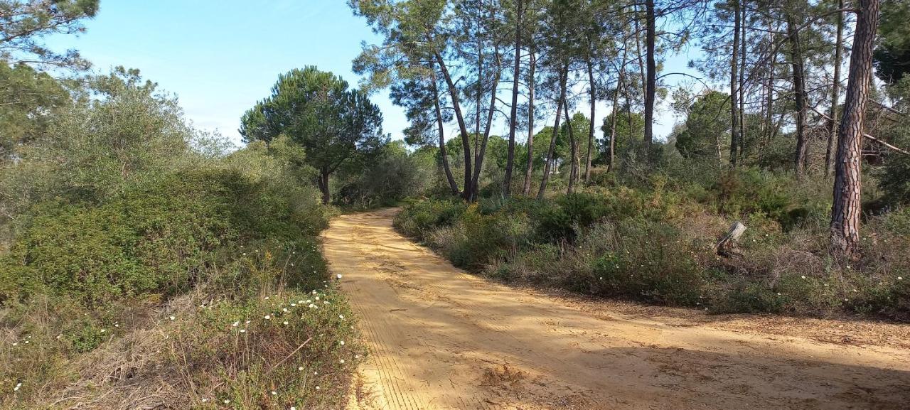 Casa Do Pinheiro - Parque Natural Da Ria Formosa. Тавира Екстериор снимка