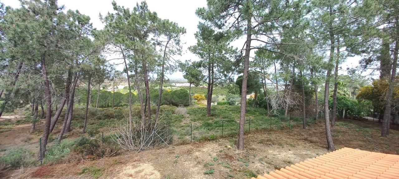 Casa Do Pinheiro - Parque Natural Da Ria Formosa. Тавира Екстериор снимка